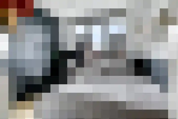 Eldense Blauwe 8 Arnhem thumbnail 40