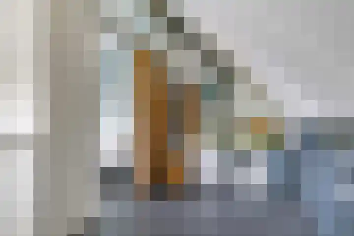 Eldense Blauwe 8 Arnhem thumbnail 48