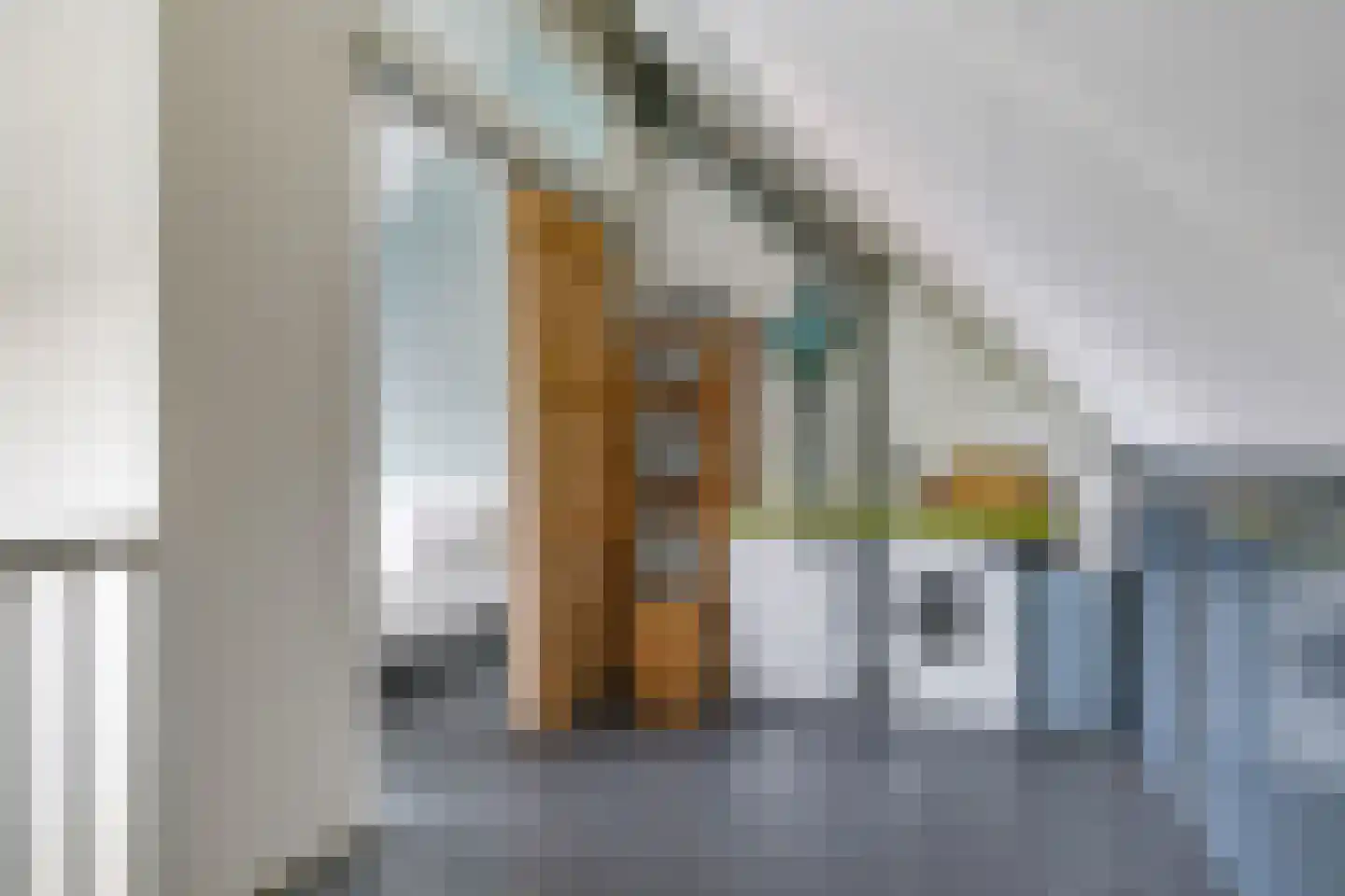 Eldense Blauwe 8 Arnhem thumbnail 48