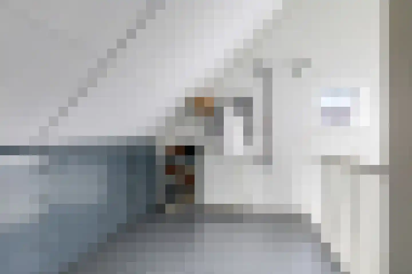 Eldense Blauwe 8 Arnhem thumbnail 49