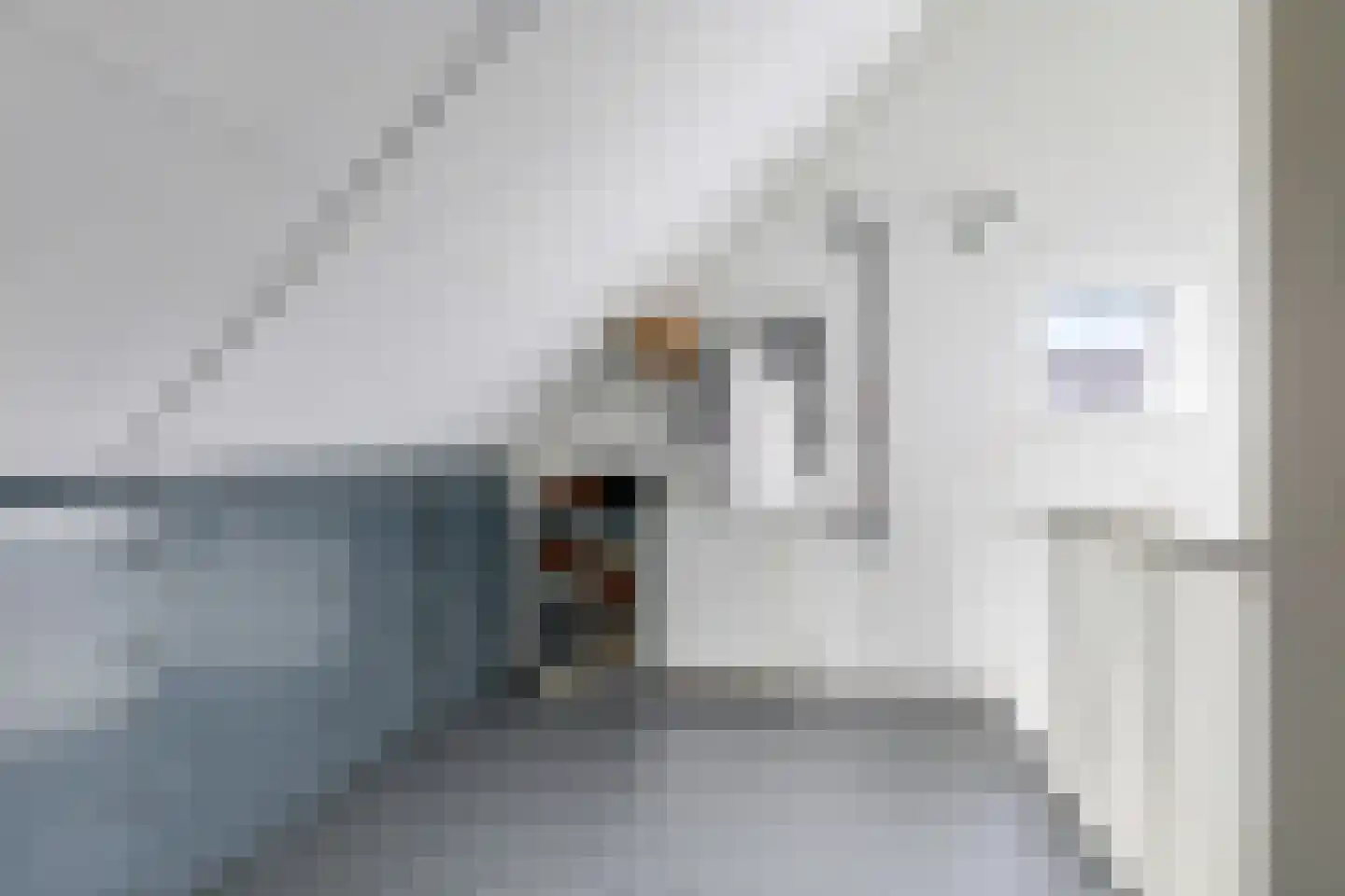 Eldense Blauwe 8 Arnhem thumbnail 49