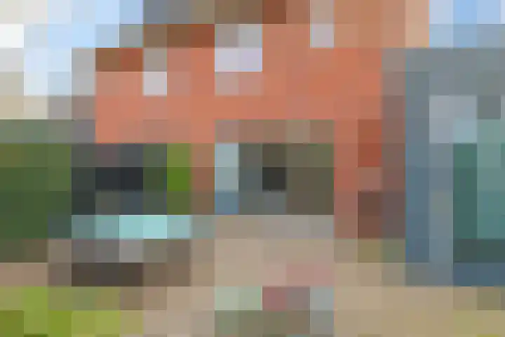 Eldense Blauwe 8 Arnhem thumbnail 56