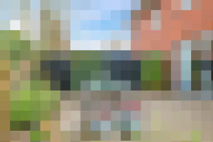 Eldense Blauwe 8 Arnhem thumbnail 57