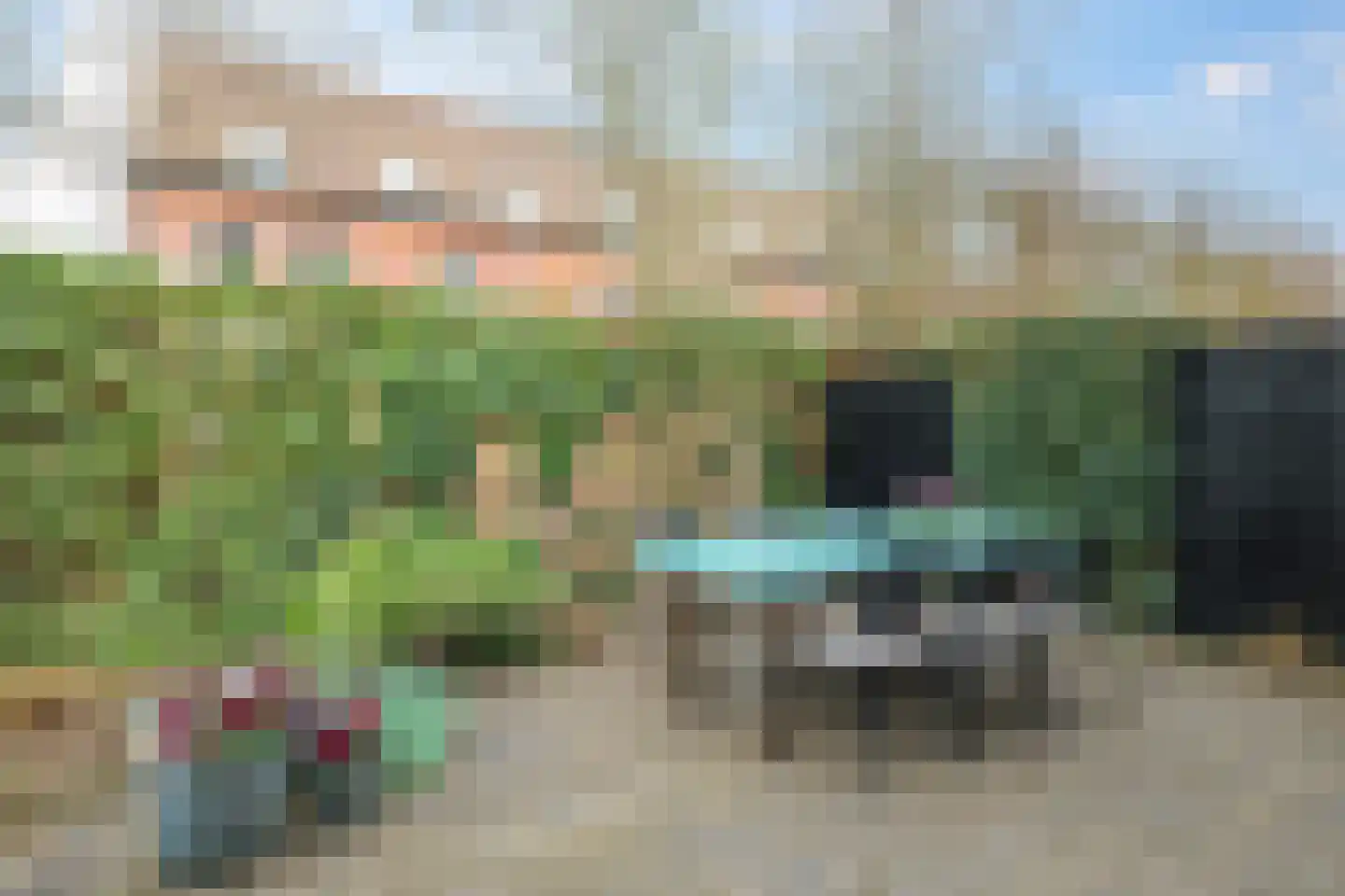 Eldense Blauwe 8 Arnhem thumbnail 61