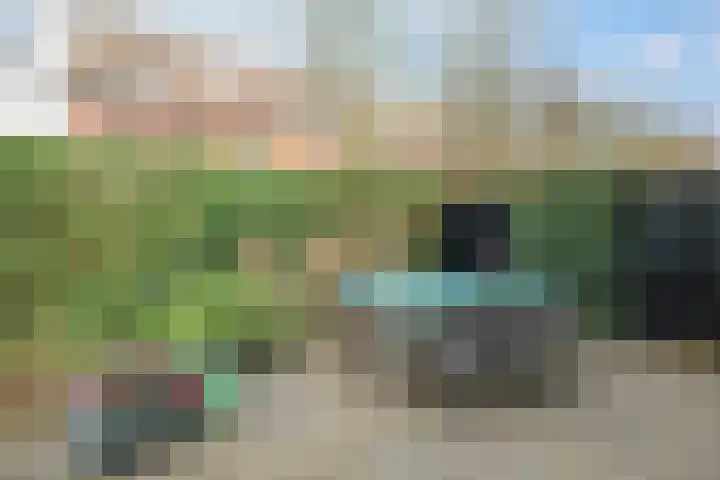 Eldense Blauwe 8 Arnhem thumbnail 61