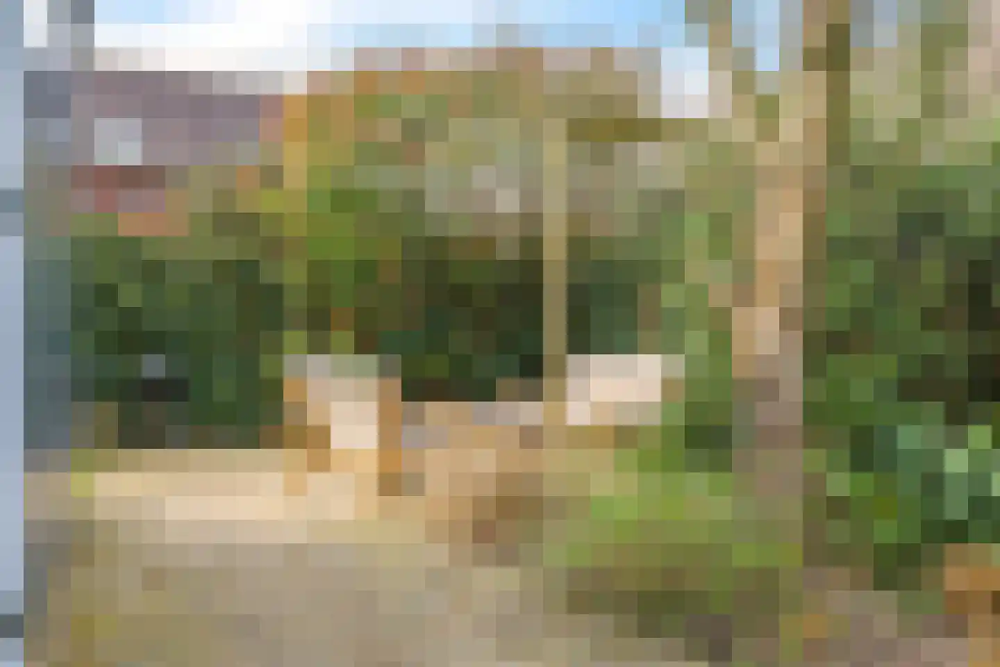 Eldense Blauwe 8 Arnhem thumbnail 62