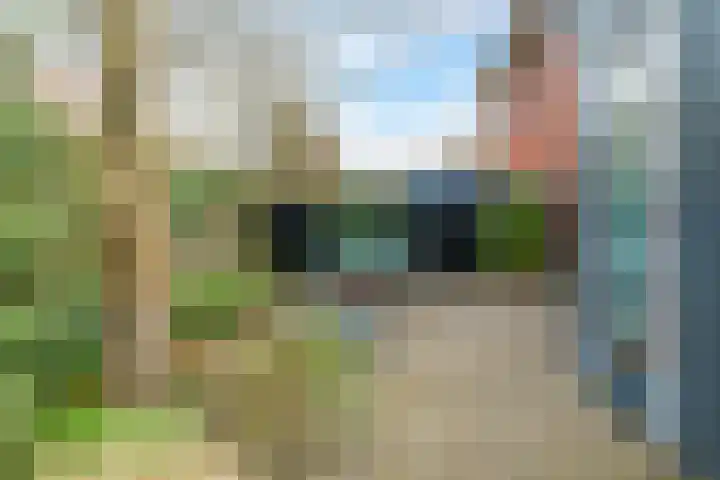 Eldense Blauwe 8 Arnhem thumbnail 67