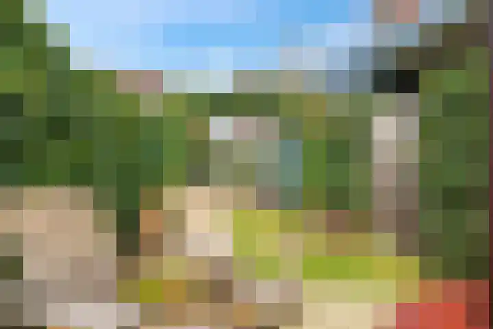 Eldense Blauwe 8 Arnhem thumbnail 68