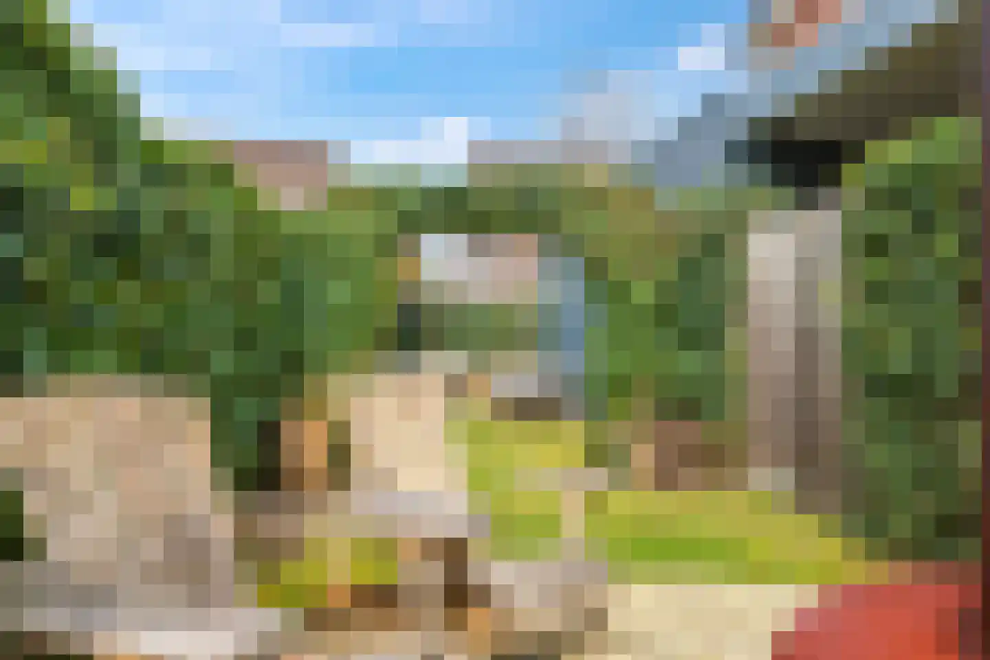 Eldense Blauwe 8 Arnhem thumbnail 68