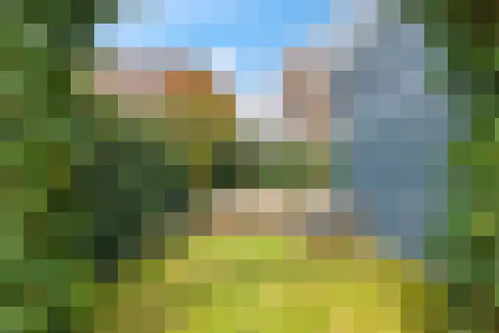 Eldense Blauwe 8 Arnhem thumbnail 69
