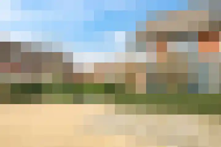 Eldense Blauwe 8 Arnhem thumbnail 7