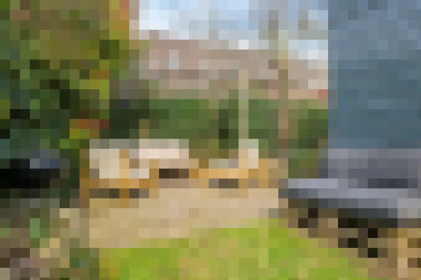 Eldense Blauwe 8 Arnhem thumbnail 70