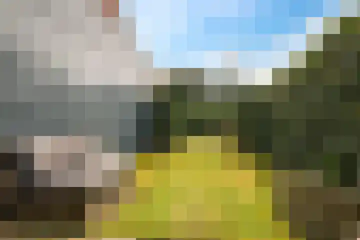 Eldense Blauwe 8 Arnhem thumbnail 71