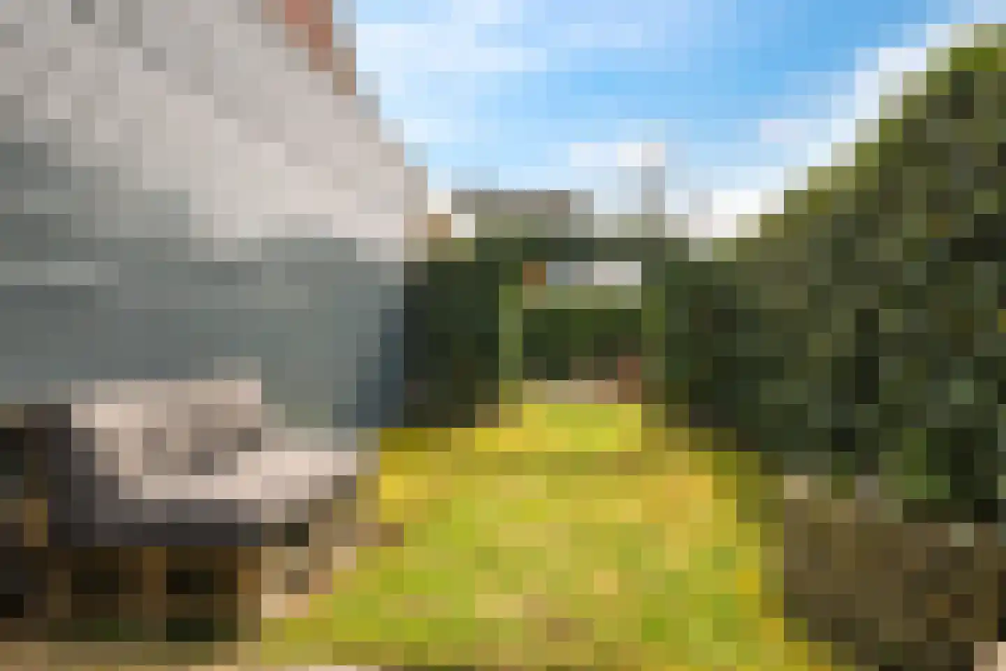 Eldense Blauwe 8 Arnhem thumbnail 71