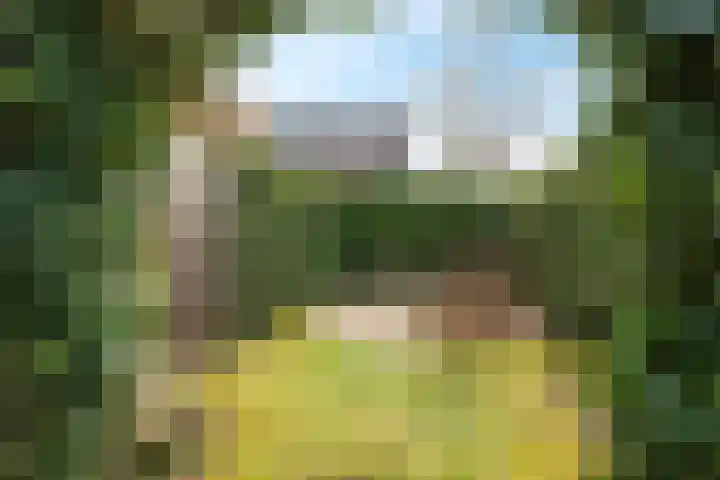 Eldense Blauwe 8 Arnhem thumbnail 72