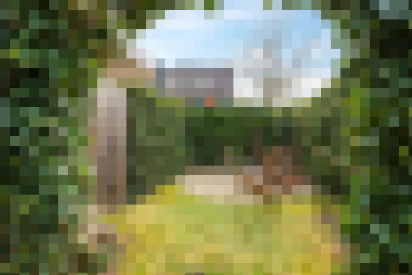 Eldense Blauwe 8 Arnhem thumbnail 72
