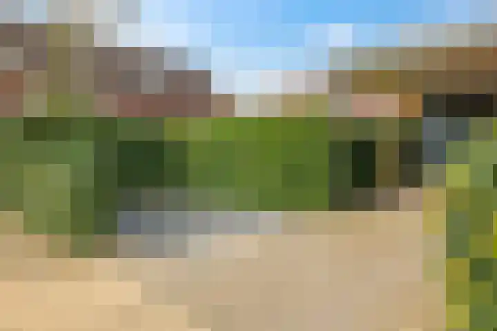 Eldense Blauwe 8 Arnhem thumbnail 8