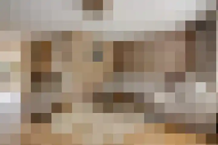 Eldenstraat 6 Bergen L thumbnail 10