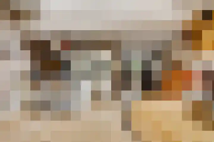 Eldenstraat 6 Bergen L thumbnail 13