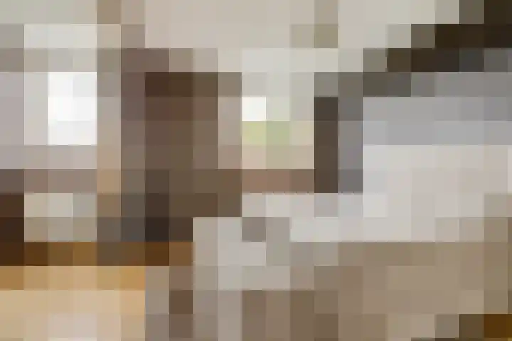 Eldenstraat 6 Bergen L thumbnail 20