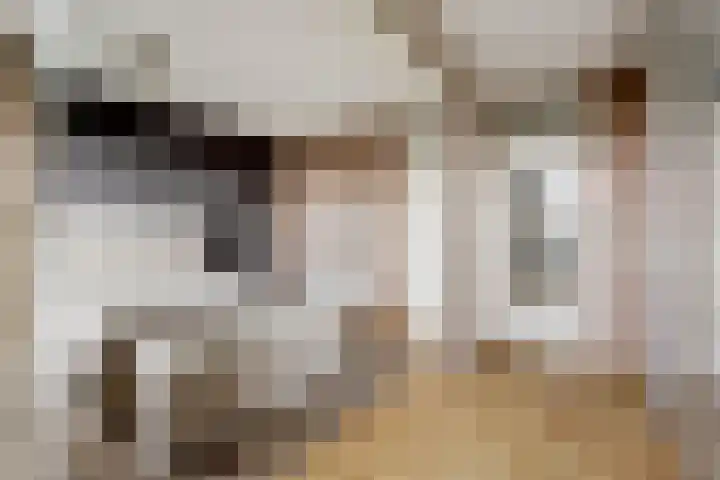 Eldenstraat 6 Bergen L thumbnail 22