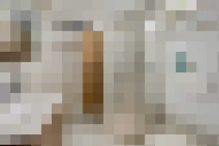 Eldenstraat 6 Bergen L thumbnail 24