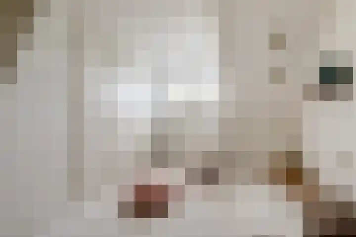 Eldenstraat 6 Bergen L thumbnail 25