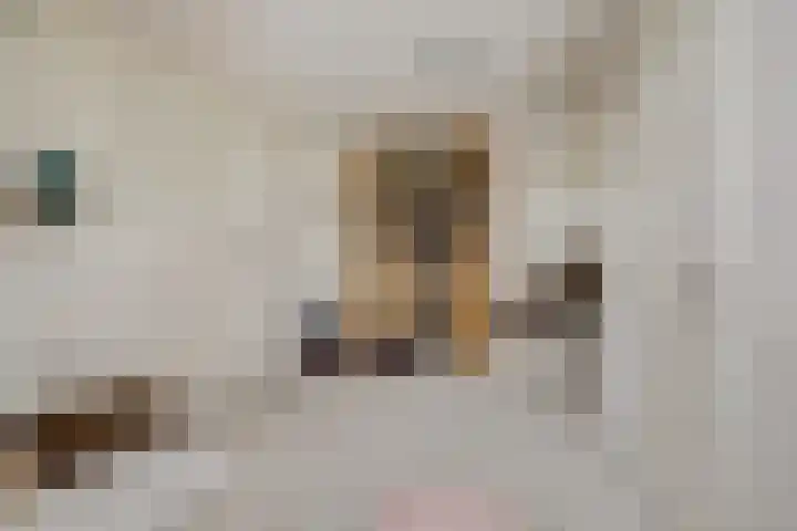 Eldenstraat 6 Bergen L thumbnail 26