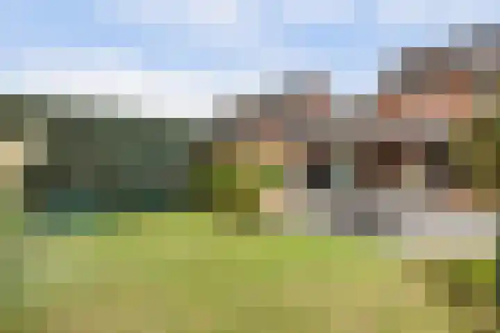 Eldenstraat 6 Bergen L thumbnail 28