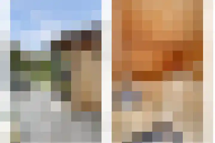 Eldenstraat 6 Bergen L thumbnail 32