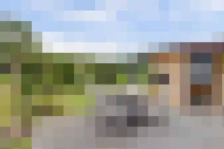 Eldenstraat 6 Bergen L thumbnail 4