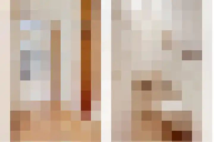 Eldenstraat 6 Bergen L thumbnail 7
