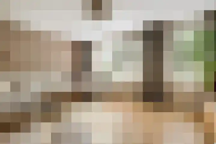 Eldenstraat 6 Bergen L thumbnail 9