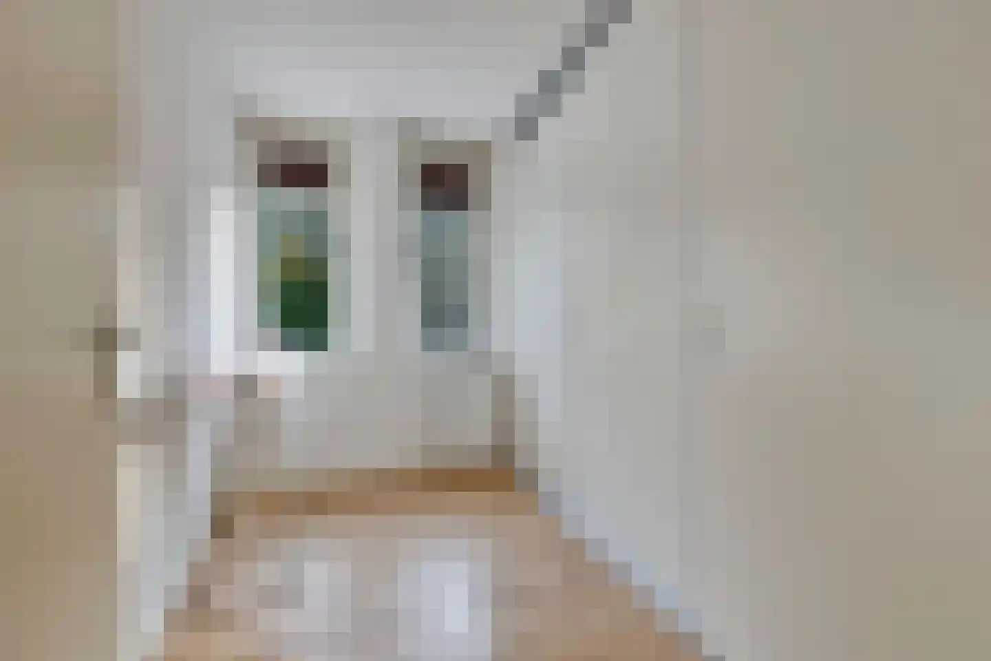 Eldershof 30 Well L thumbnail 27