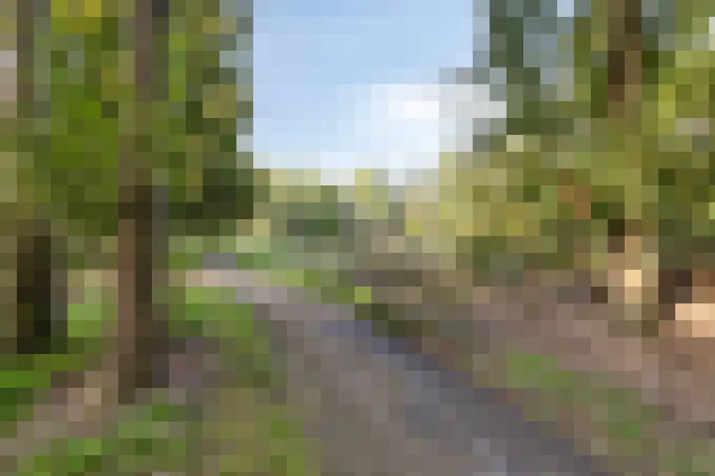 Eldershof 30 Well L thumbnail 35