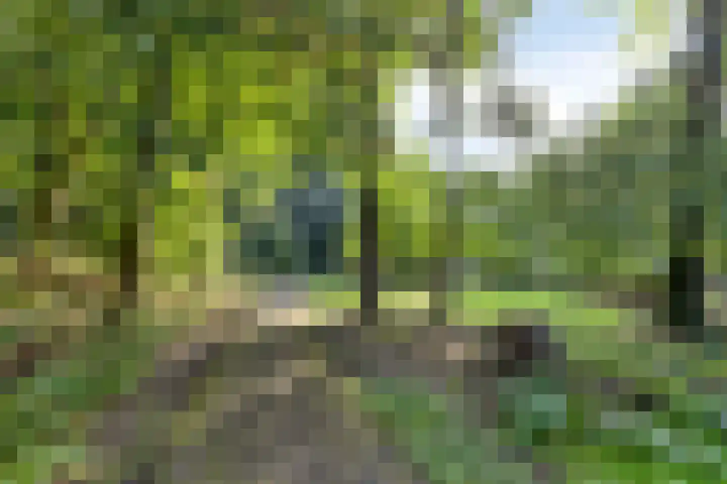 Eldershof 30 Well L thumbnail 36