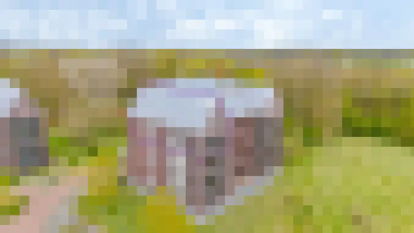 Eldershof 44 Well L