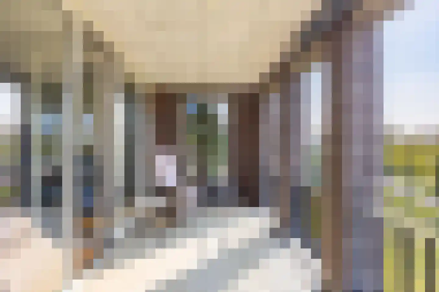 Eldershof 44 Well L thumbnail 23