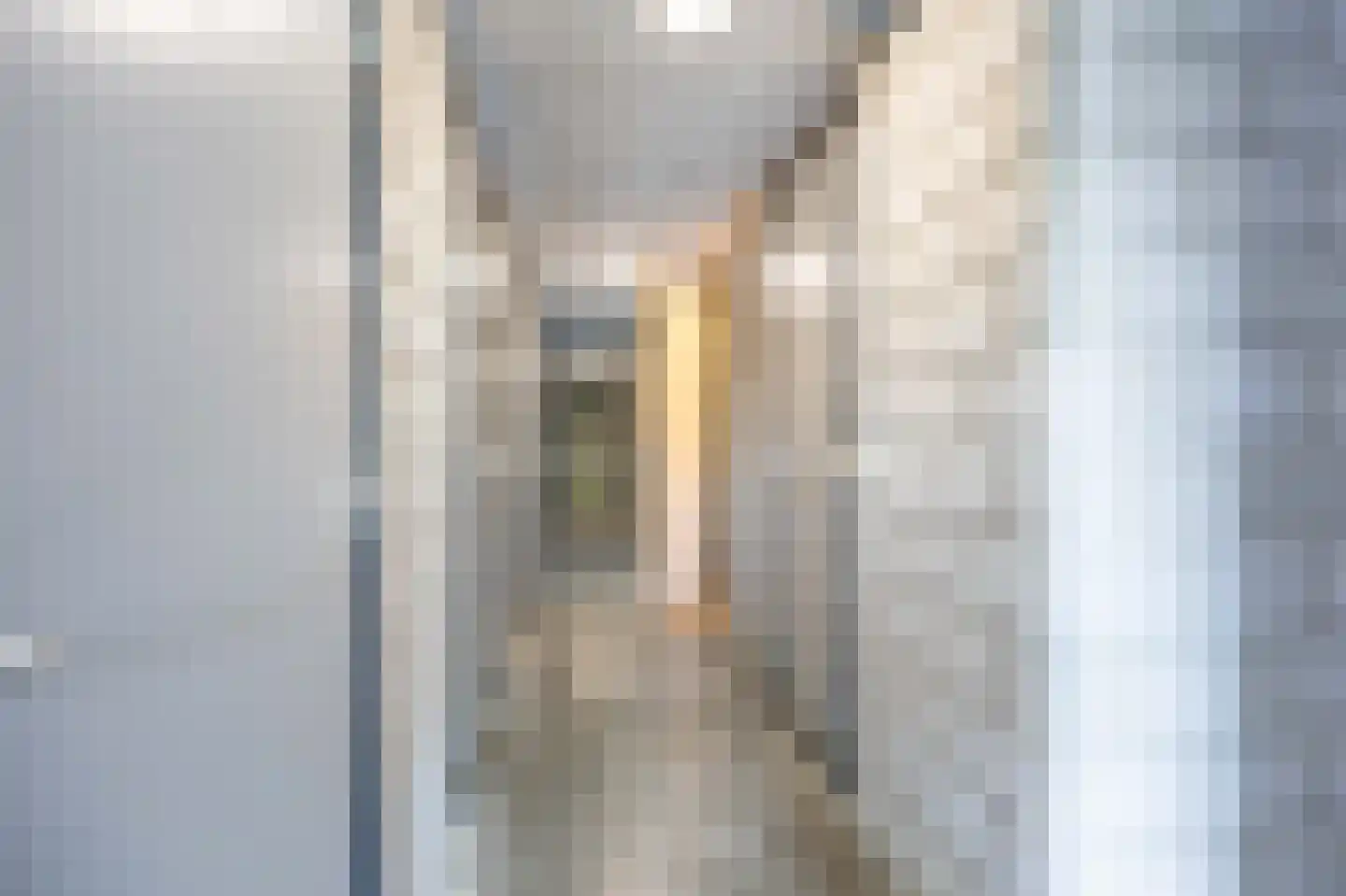 Eldershof 44 Well L thumbnail 44