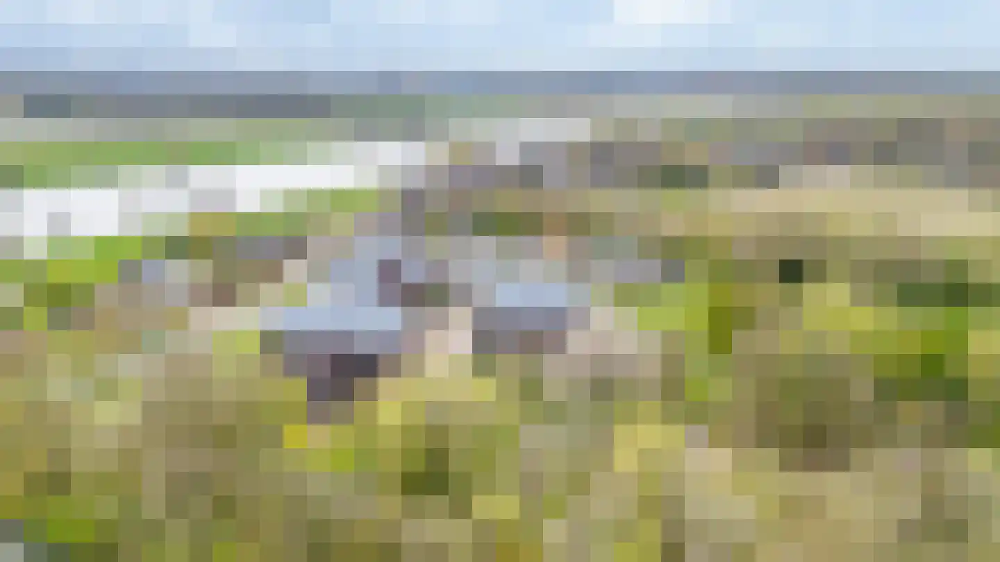 Eldershof 44 Well L thumbnail 45