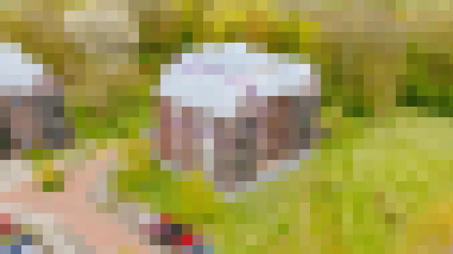 Eldershof 44 Well L thumbnail 46
