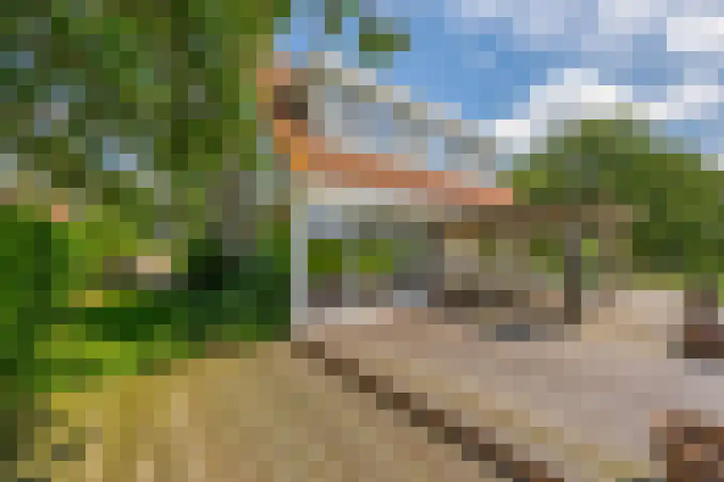 Elderskar 15 Elahuizen thumbnail 18