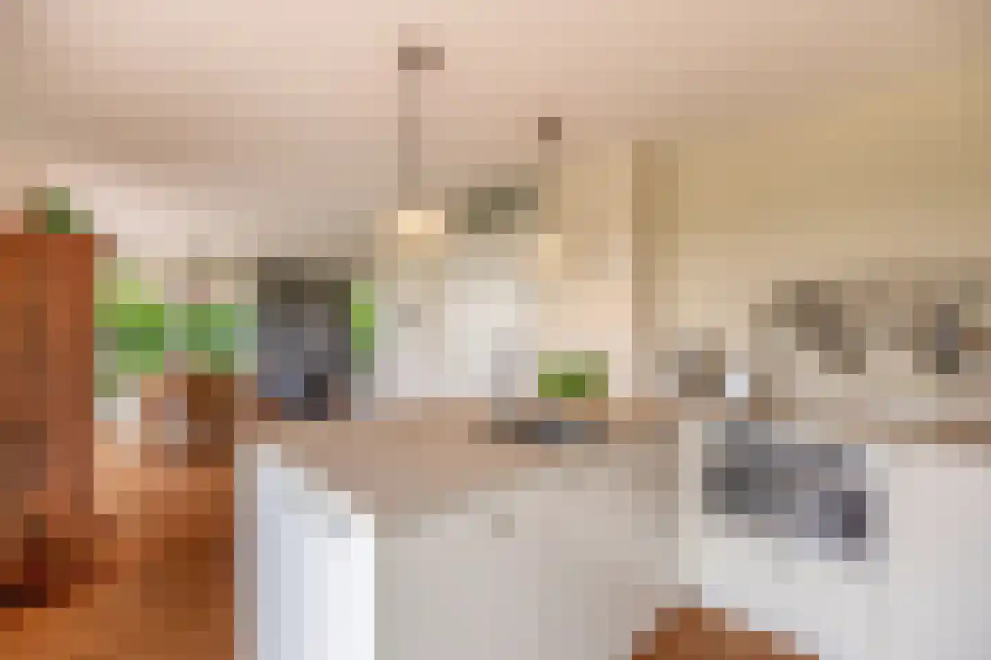 Elderskar 15 Elahuizen thumbnail 21