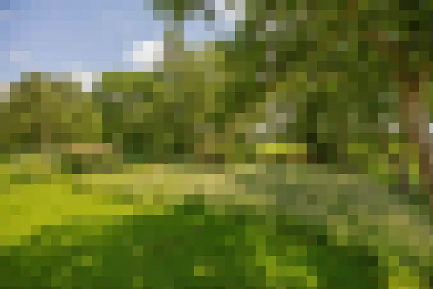 Elderskar 15 Elahuizen thumbnail 25