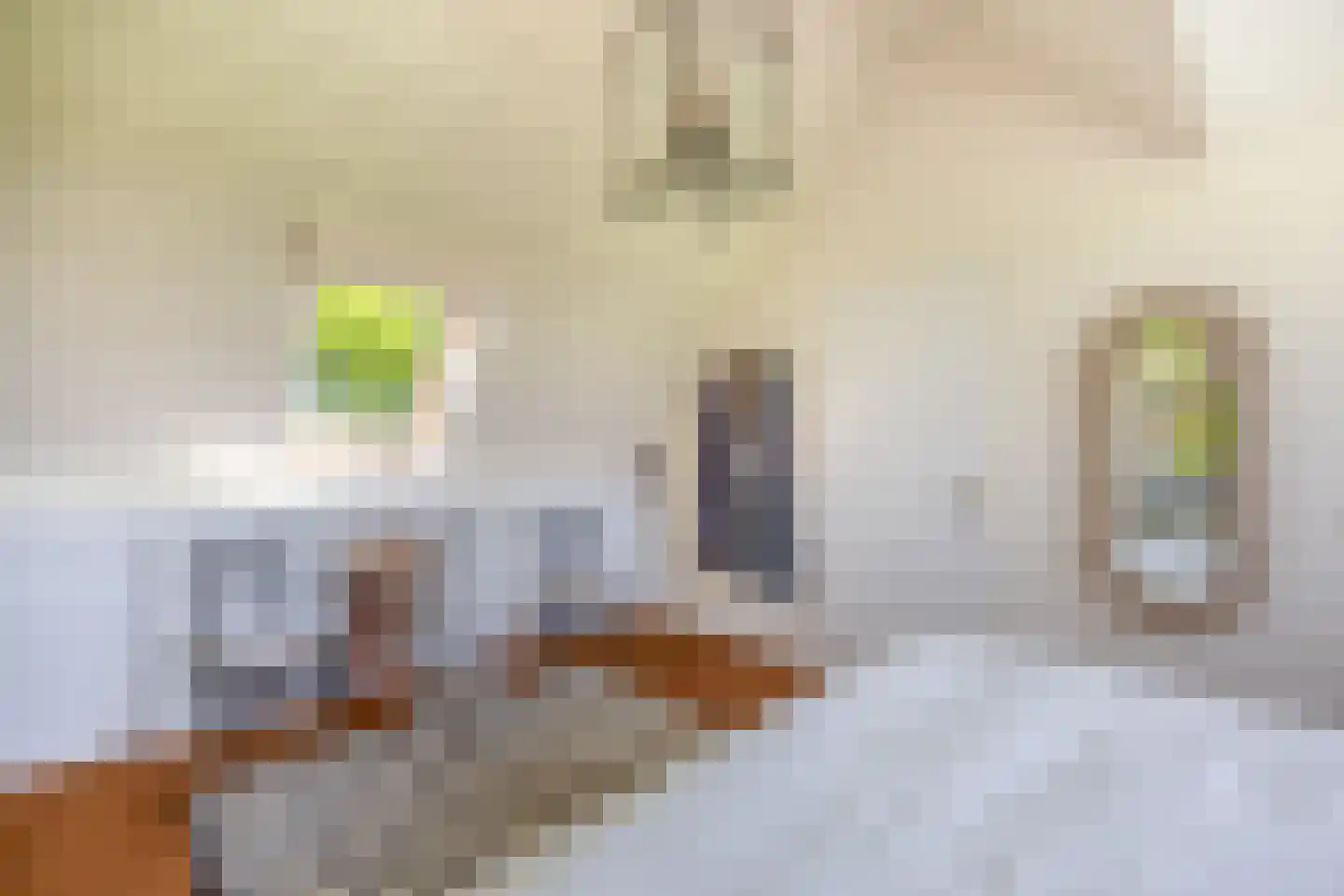 Elderskar 15 Elahuizen thumbnail 27