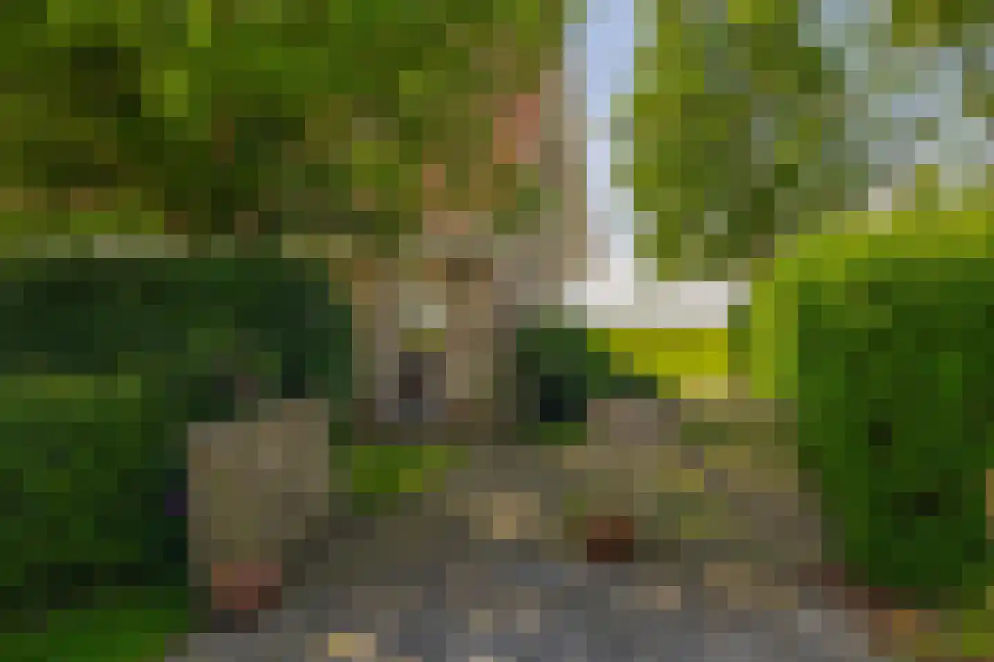 Elderskar 15 Elahuizen thumbnail 34