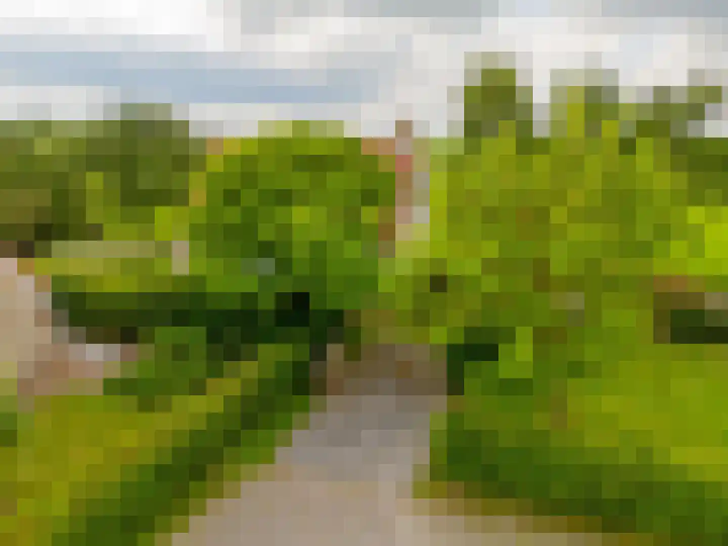Elderskar 15 Elahuizen thumbnail 35