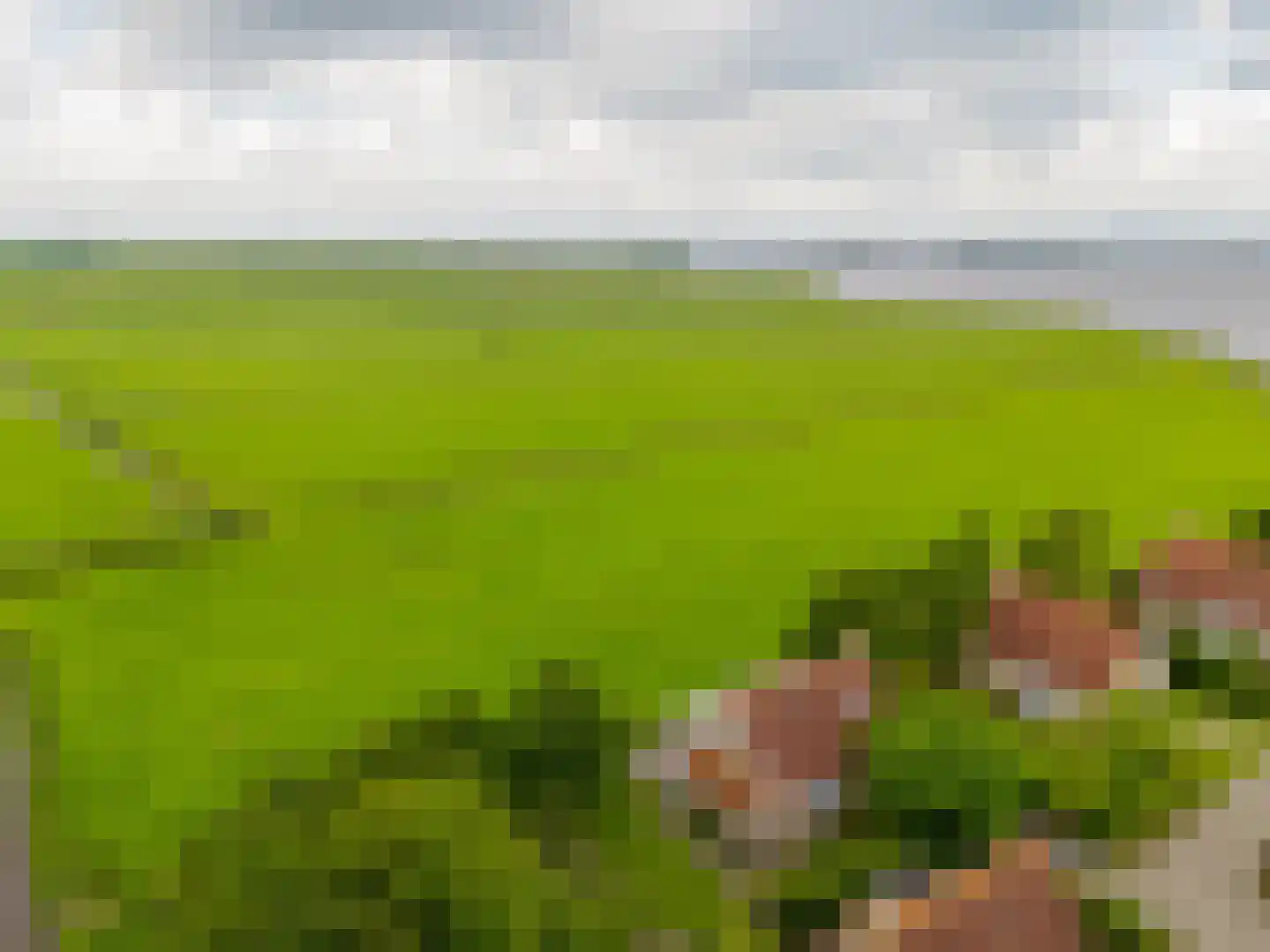Elderskar 15 Elahuizen thumbnail 36