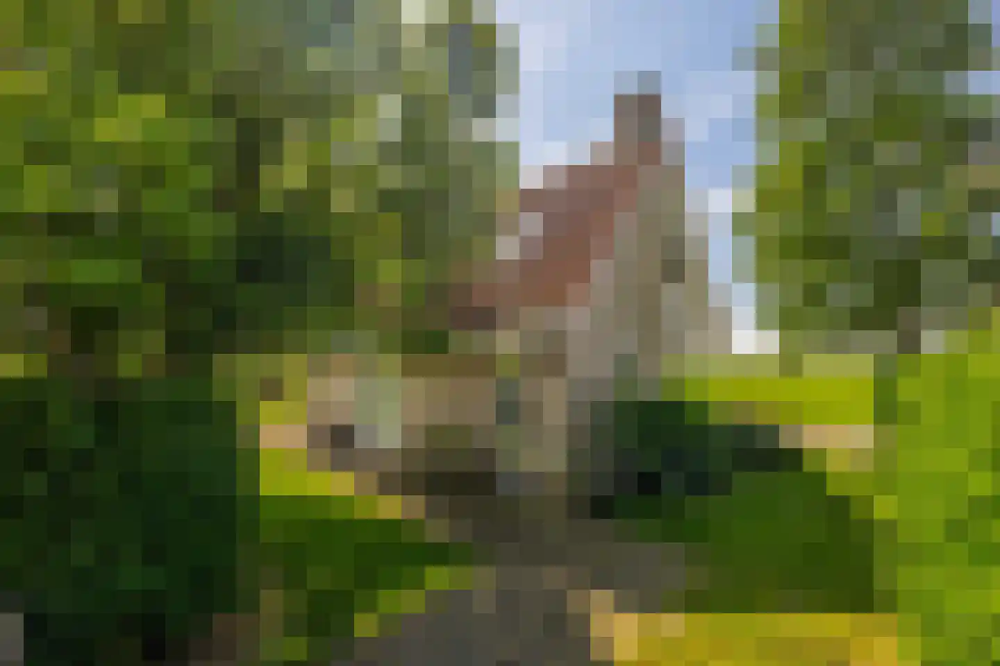 Elderskar 15 Elahuizen thumbnail 37