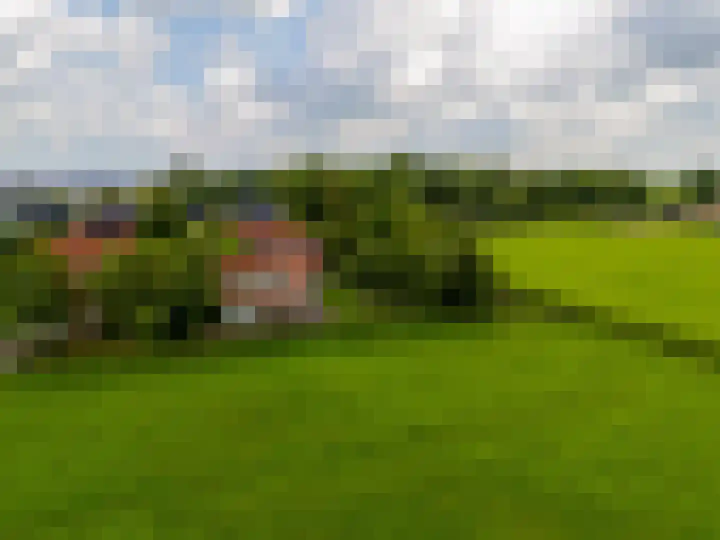Elderskar 15 Elahuizen thumbnail 37